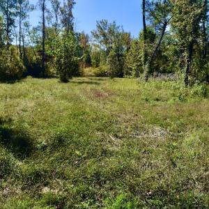 Photo #33 of SOLD property in Off Shared Lane, Bedford, VA 79.0 acres