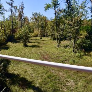 Photo #34 of SOLD property in Off Shared Lane, Bedford, VA 79.0 acres