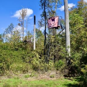 Photo #35 of SOLD property in Off Shared Lane, Bedford, VA 79.0 acres
