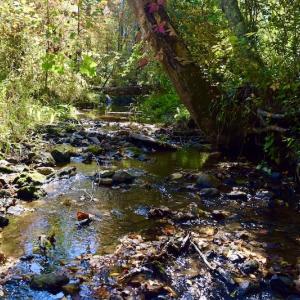 Photo #36 of SOLD property in Off Shared Lane, Bedford, VA 79.0 acres