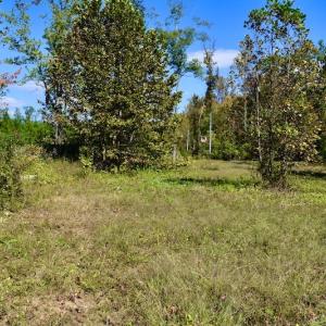 Photo #38 of SOLD property in Off Shared Lane, Bedford, VA 79.0 acres