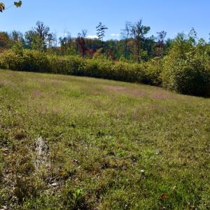 Photo #39 of SOLD property in Off Shared Lane, Bedford, VA 79.0 acres