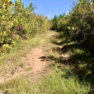 Photo #40 of SOLD property in Off Shared Lane, Bedford, VA 79.0 acres