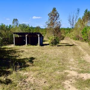 Photo #41 of SOLD property in Off Shared Lane, Bedford, VA 79.0 acres