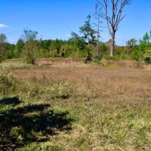 Photo #42 of SOLD property in Off Shared Lane, Bedford, VA 79.0 acres