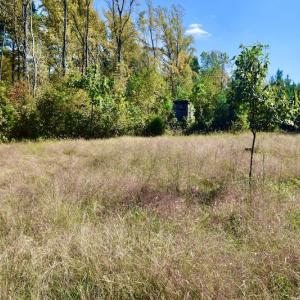 Photo #44 of SOLD property in Off Shared Lane, Bedford, VA 79.0 acres