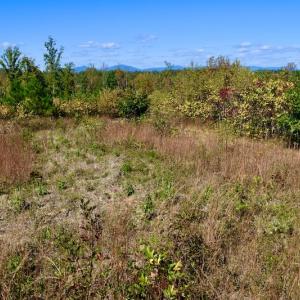Photo #45 of SOLD property in Off Shared Lane, Bedford, VA 79.0 acres