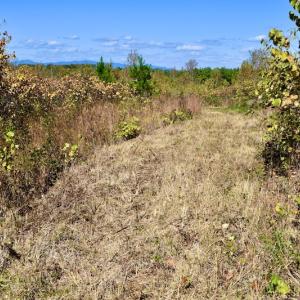 Photo #46 of SOLD property in Off Shared Lane, Bedford, VA 79.0 acres