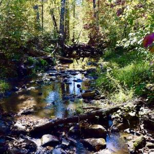 Photo #48 of SOLD property in Off Shared Lane, Bedford, VA 79.0 acres