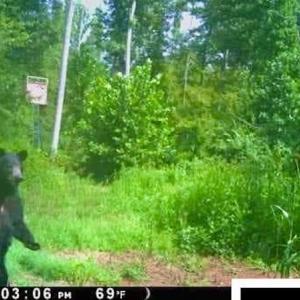 Photo #50 of SOLD property in Off Shared Lane, Bedford, VA 79.0 acres