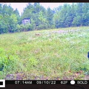 Photo #52 of SOLD property in Off Shared Lane, Bedford, VA 79.0 acres