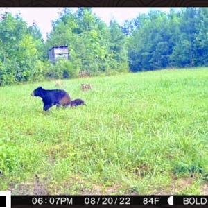 Photo #53 of SOLD property in Off Shared Lane, Bedford, VA 79.0 acres