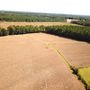 Photo #25 of SOLD property in 4372 Deer Forest Road, Suffolk, VA 68.0 acres