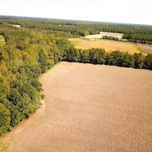 Photo #26 of SOLD property in 4372 Deer Forest Road, Suffolk, VA 68.0 acres