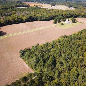 Photo #29 of SOLD property in 4372 Deer Forest Road, Suffolk, VA 68.0 acres