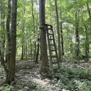 Photo #43 of SOLD property in 4372 Deer Forest Road, Suffolk, VA 68.0 acres