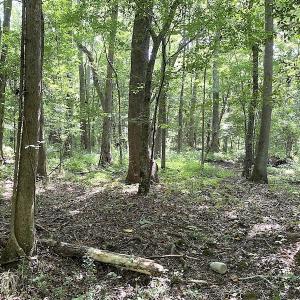Photo #46 of SOLD property in 4372 Deer Forest Road, Suffolk, VA 68.0 acres
