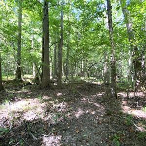 Photo #47 of SOLD property in 4372 Deer Forest Road, Suffolk, VA 68.0 acres