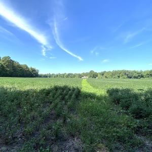 Photo #49 of SOLD property in 4372 Deer Forest Road, Suffolk, VA 68.0 acres