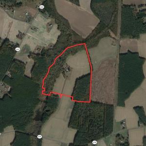 Photo #52 of SOLD property in 4372 Deer Forest Road, Suffolk, VA 68.0 acres