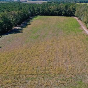 Photo #2 of SOLD property in Off Levi Drive, Ayden, NC 7.0 acres