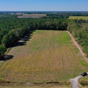 Photo #3 of SOLD property in Off Levi Drive, Ayden, NC 7.0 acres