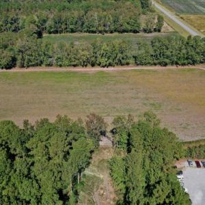 Photo #9 of SOLD property in Off Levi Drive, Ayden, NC 7.0 acres