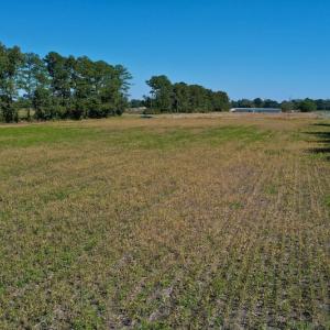 Photo #15 of SOLD property in Off Levi Drive, Ayden, NC 7.0 acres