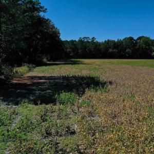 Photo #28 of SOLD property in Off Levi Drive, Ayden, NC 7.0 acres