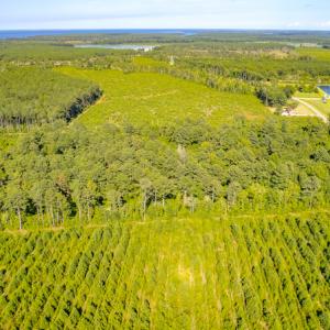 Photo #10 of SOLD property in Off Spring Creek Road, Aurora, NC 15.1 acres