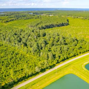 Photo #11 of SOLD property in Off Spring Creek Road, Aurora, NC 15.1 acres