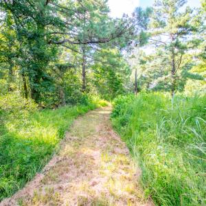 Photo #16 of SOLD property in Off Spring Creek Road, Aurora, NC 15.1 acres