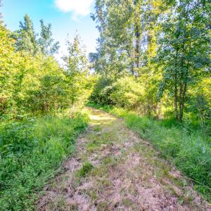 Photo #17 of SOLD property in Off Spring Creek Road, Aurora, NC 15.1 acres
