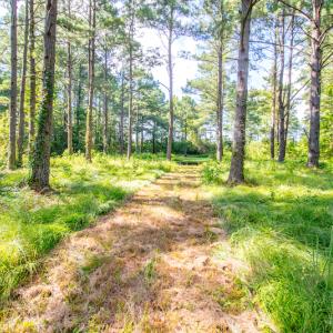 Photo #18 of SOLD property in Off Spring Creek Road, Aurora, NC 15.1 acres