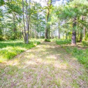Photo #19 of SOLD property in Off Spring Creek Road, Aurora, NC 15.1 acres