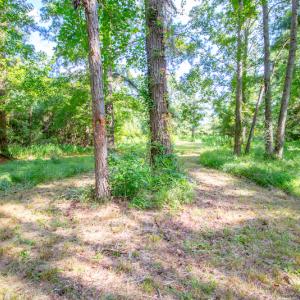 Photo #21 of SOLD property in Off Spring Creek Road, Aurora, NC 15.1 acres