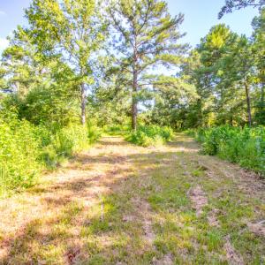 Photo #22 of SOLD property in Off Spring Creek Road, Aurora, NC 15.1 acres
