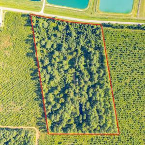Photo #3 of SOLD property in Off Spring Creek Road, Aurora, NC 15.1 acres