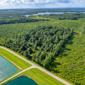 Photo #5 of SOLD property in Off Spring Creek Road, Aurora, NC 15.1 acres