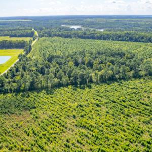 Photo #6 of SOLD property in Off Spring Creek Road, Aurora, NC 15.1 acres