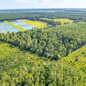 Photo #7 of SOLD property in Off Spring Creek Road, Aurora, NC 15.1 acres