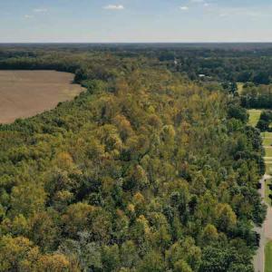 Photo #2 of SOLD property in Off Saint Brides Road West, Chesapeake, VA 16.0 acres