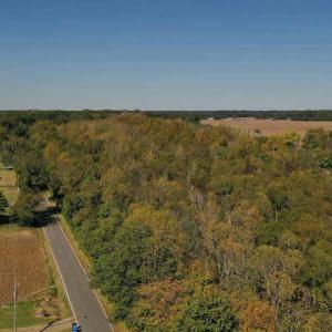 Photo #4 of SOLD property in Off Saint Brides Road West, Chesapeake, VA 16.0 acres