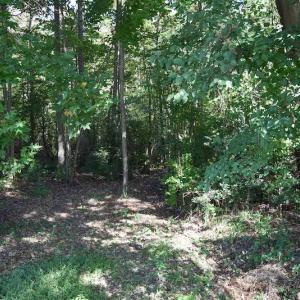 Photo #9 of SOLD property in Off Saint Brides Road West, Chesapeake, VA 16.0 acres