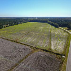 Photo #2 of SOLD property in Off Bryant Farm Road, Tarboro, NC 122.0 acres