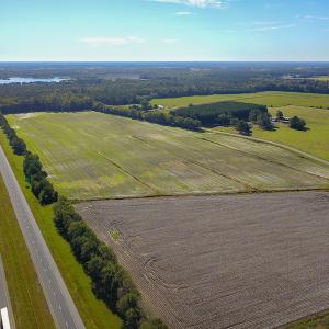 Photo #3 of SOLD property in Off Bryant Farm Road, Tarboro, NC 122.0 acres