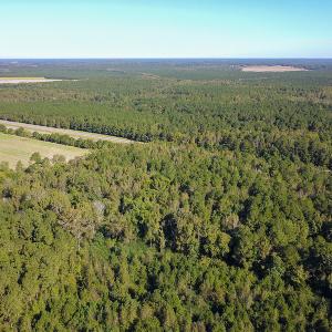 Photo #7 of SOLD property in Off Bryant Farm Road, Tarboro, NC 122.0 acres