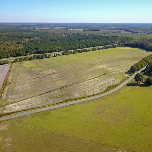 Photo #8 of SOLD property in Off Bryant Farm Road, Tarboro, NC 122.0 acres