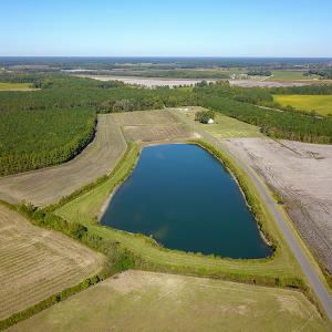 Photo #9 of SOLD property in Off Bryant Farm Road, Tarboro, NC 122.0 acres