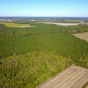 Photo #10 of SOLD property in Off Bryant Farm Road, Tarboro, NC 122.0 acres
